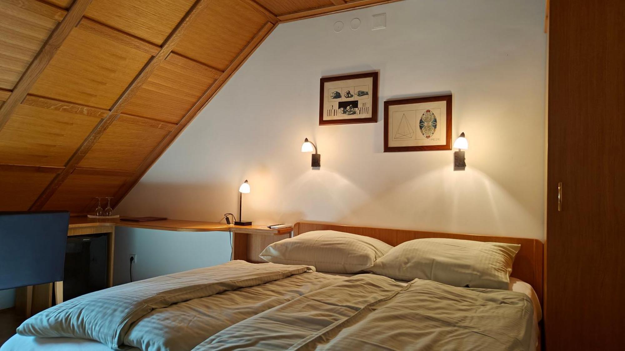 Guesthouse Pri Zalogarju Zelezniki Εξωτερικό φωτογραφία